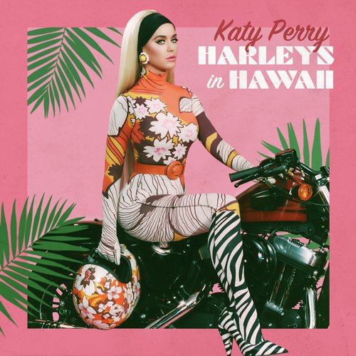 Harleys In Hawaii Poster