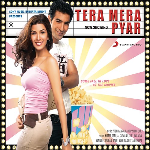 Tera Mera Pyar Poster