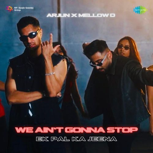 We Ain't Gonna Stop (Ek Pal Ka Jeena ) Poster