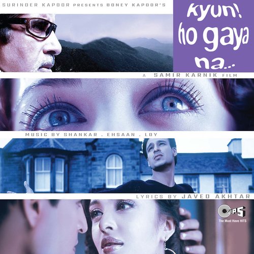 Kyun! Ho Gaya Na Poster
