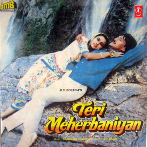Teri Meherbaniyan Poster