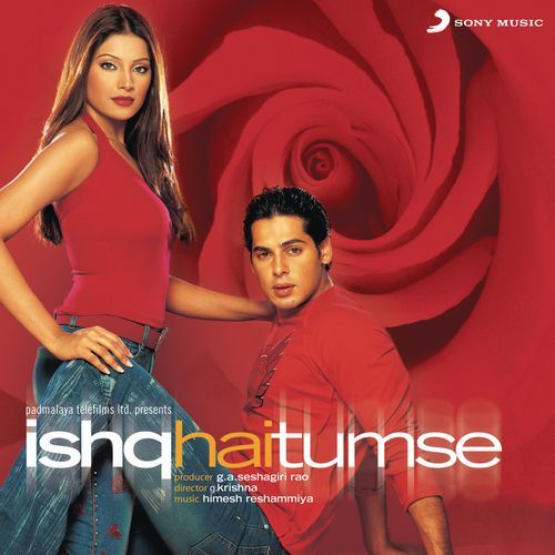 Hamne Tumko Dil Ye De Diya Poster