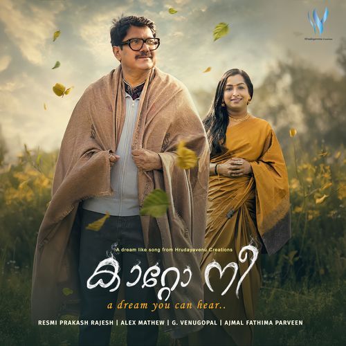 Kaatto Nee Poster